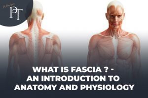 What is Fascia ? An introduction to Anatomy and Physiology